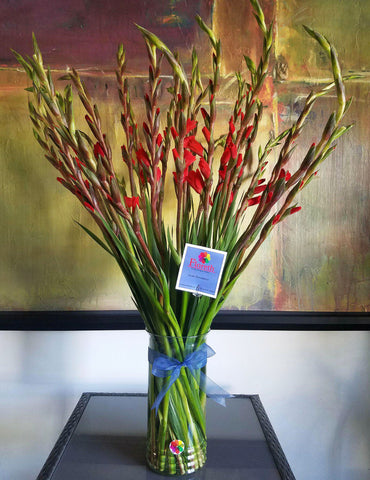 Floreth - Sinfin de Gladiolas