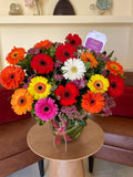 Floreth - Gerberas Crystal Premium