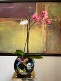 Floreth - Orquídea Premium