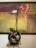 Floreth - Orquídea Premium
