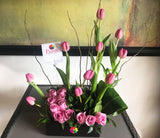 Floreth - Tulipanes de Encanto